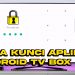 Cara Kunci Aplikasi Pada Android TV Box | Akari AX512 | ZTE B860h v5 | Mi Box S